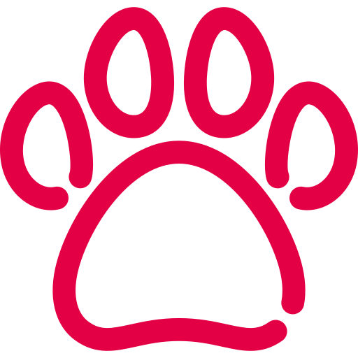 Ortopedia